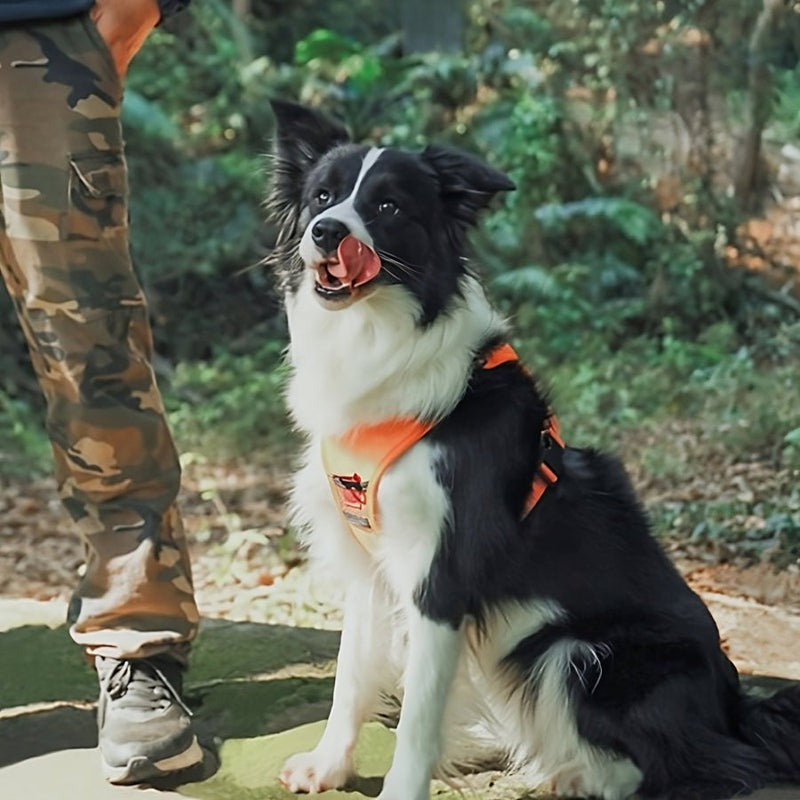 Retractable Dog Harness