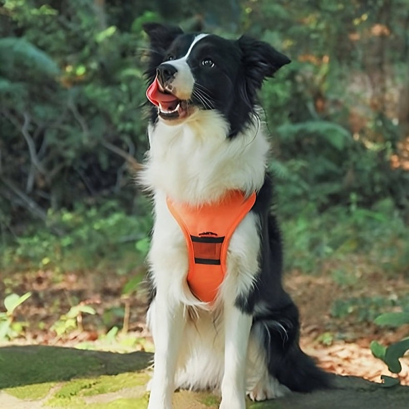 Retractable Dog Harness